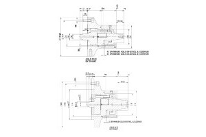 AGILIS  - 4