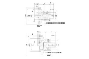 AGILIS  - 5